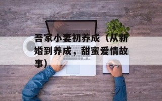 吾家小妻初养成（从新婚到养成，甜蜜爱情故事）