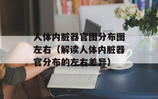 人体内脏器官图分布图左右（解读人体内脏器官分布的左右差异）