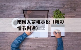南风入萝帷小说（精彩情节剧透）