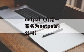netpal（介绍一家名为netpal的公司）