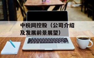 中税网控股（公司介绍及发展前景展望）