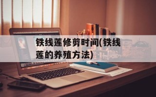 铁线莲修剪时间(铁线莲的养殖方法)