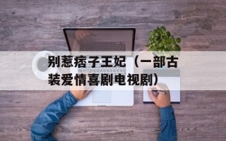 别惹痞子王妃（一部古装爱情喜剧电视剧）