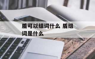 盾可以组词什么 盾组词是什么