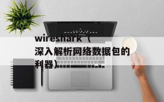 wireshark（深入解析网络数据包的利器）