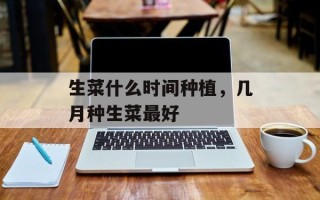生菜什么时间种植，几月种生菜最好