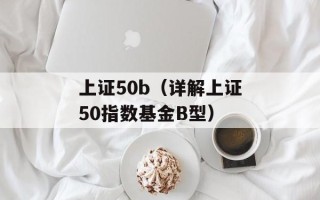 上证50b（详解上证50指数基金B型）