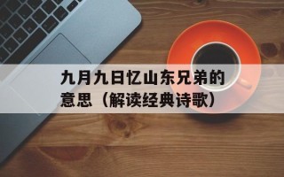 九月九日忆山东兄弟的意思（解读经典诗歌）