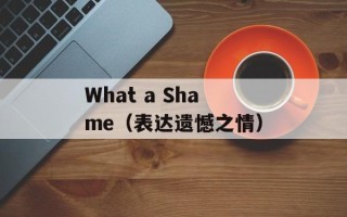 What a Shame（表达遗憾之情）
