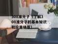 308准分子（了解308准分子的基本知识和应用场景）
