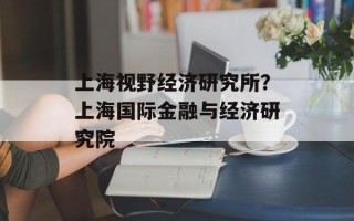 上海视野经济研究所？上海国际金融与经济研究院
