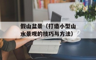 假山盆景（打造小型山水景观的技巧与方法）