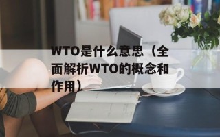 WTO是什么意思（全面解析WTO的概念和作用）