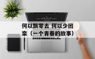 何以飘零去 何以少团栾（一个青春的故事）