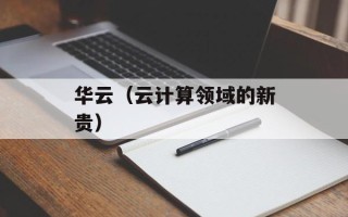华云（云计算领域的新贵）