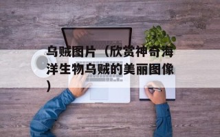 乌贼图片（欣赏神奇海洋生物乌贼的美丽图像）