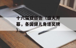 十六届亚运会（盛大开幕，各国健儿角逐奖牌）