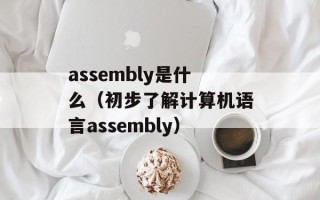 assembly是什么（初步了解计算机语言assembly）