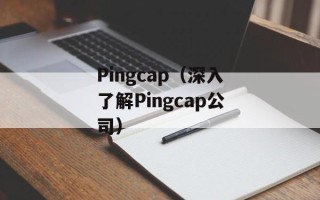 Pingcap（深入了解Pingcap公司）