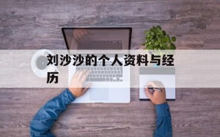 刘沙沙的个人资料与经历