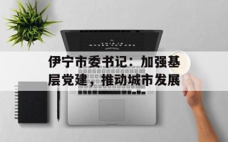 伊宁市委书记：加强基层党建，推动城市发展