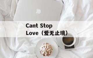 Cant Stop Love（爱无止境）