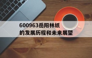 600963岳阳林纸的发展历程和未来展望