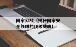 国家公敌（揭秘国家安全领域的顶级威胁）
