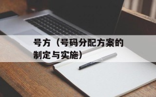 号方（号码分配方案的制定与实施）