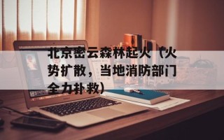 北京密云森林起火（火势扩散，当地消防部门全力扑救）