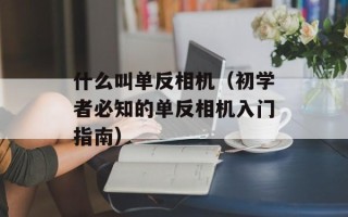 什么叫单反相机（初学者必知的单反相机入门指南）