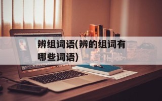 辨组词语(辨的组词有哪些词语)
