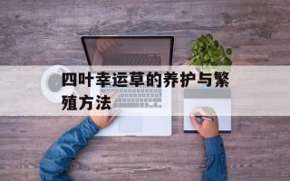 四叶幸运草的养护与繁殖方法