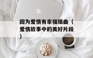 因为爱情有幸福插曲（爱情故事中的美好片段）