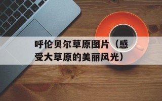 呼伦贝尔草原图片（感受大草原的美丽风光）