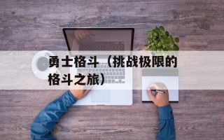 勇士格斗（挑战极限的格斗之旅）
