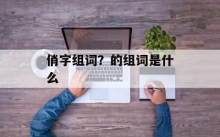 俏字组词？的组词是什么