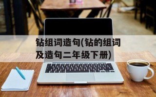 钻组词造句(钻的组词及造句二年级下册)