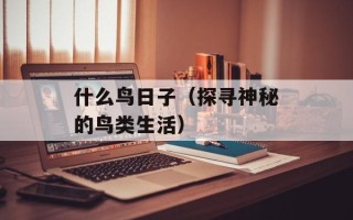 什么鸟日子（探寻神秘的鸟类生活）