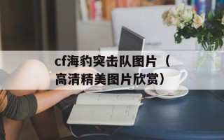 cf海豹突击队图片（高清精美图片欣赏）