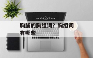 胸脯的胸组词？胸组词有哪些