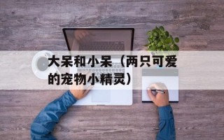 大呆和小呆（两只可爱的宠物小精灵）