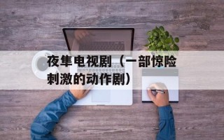 夜隼电视剧（一部惊险刺激的动作剧）