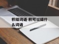 积组词语 积可以组什么词语