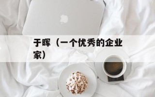 于晖（一个优秀的企业家）
