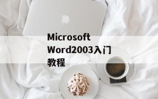 Microsoft Word2003入门教程