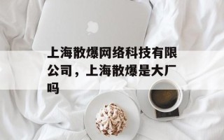 上海散爆网络科技有限公司，上海散爆是大厂吗