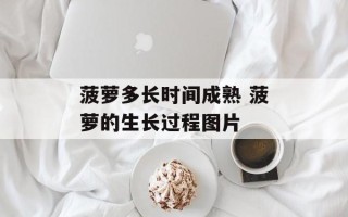 菠萝多长时间成熟 菠萝的生长过程图片