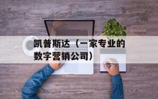 凯普斯达（一家专业的数字营销公司）