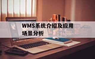 WMS系统介绍及应用场景分析